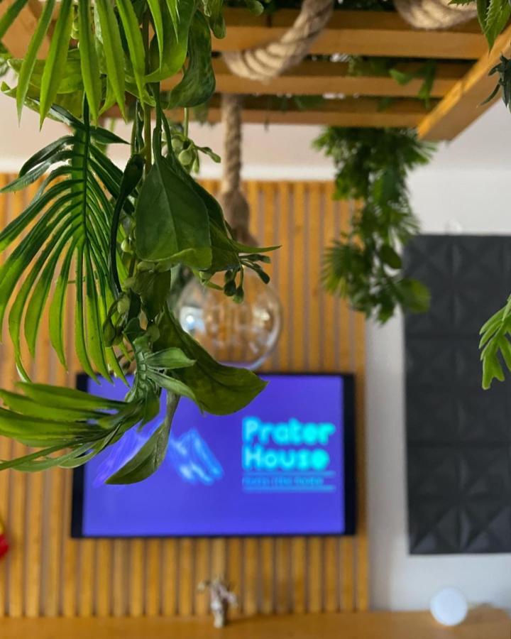Prater House Mountain View Villa Моечу де Жос Екстериор снимка