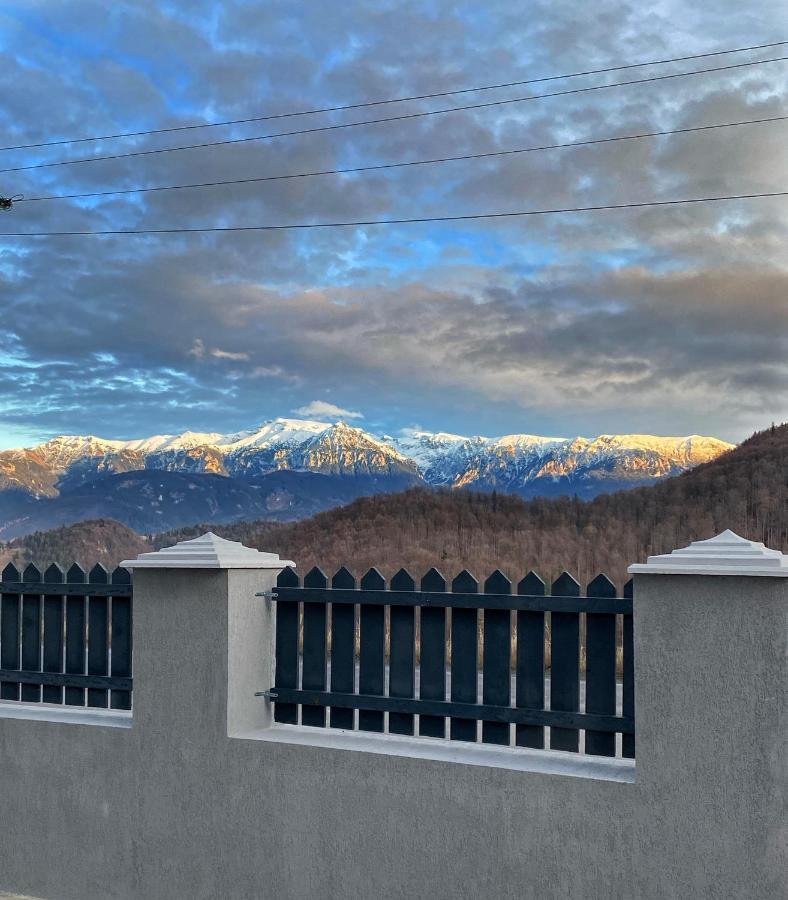 Prater House Mountain View Villa Моечу де Жос Екстериор снимка