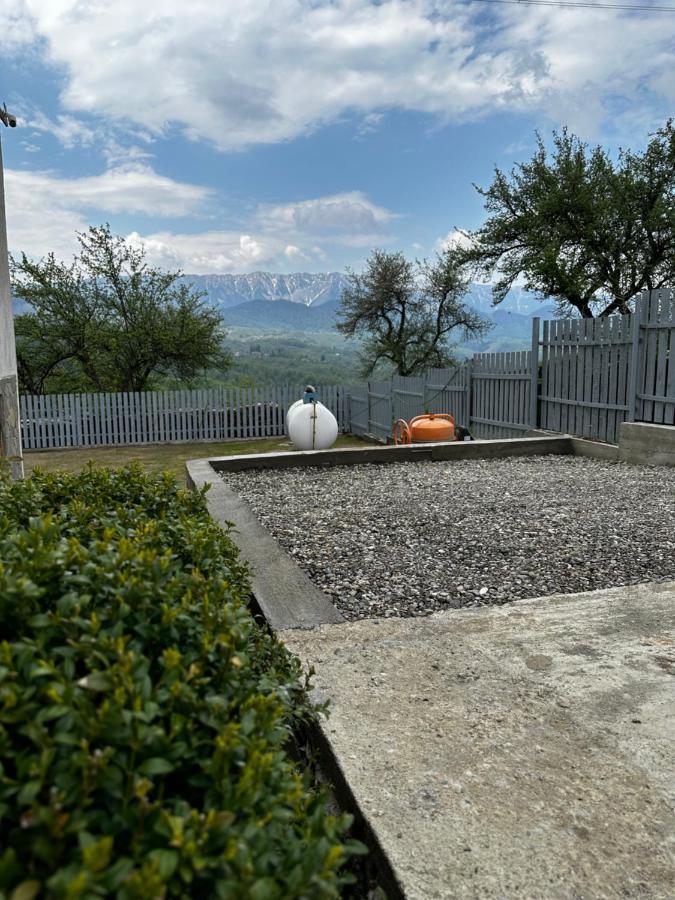 Prater House Mountain View Villa Моечу де Жос Екстериор снимка