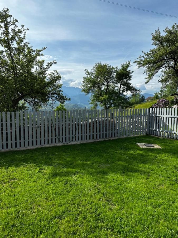 Prater House Mountain View Villa Моечу де Жос Екстериор снимка